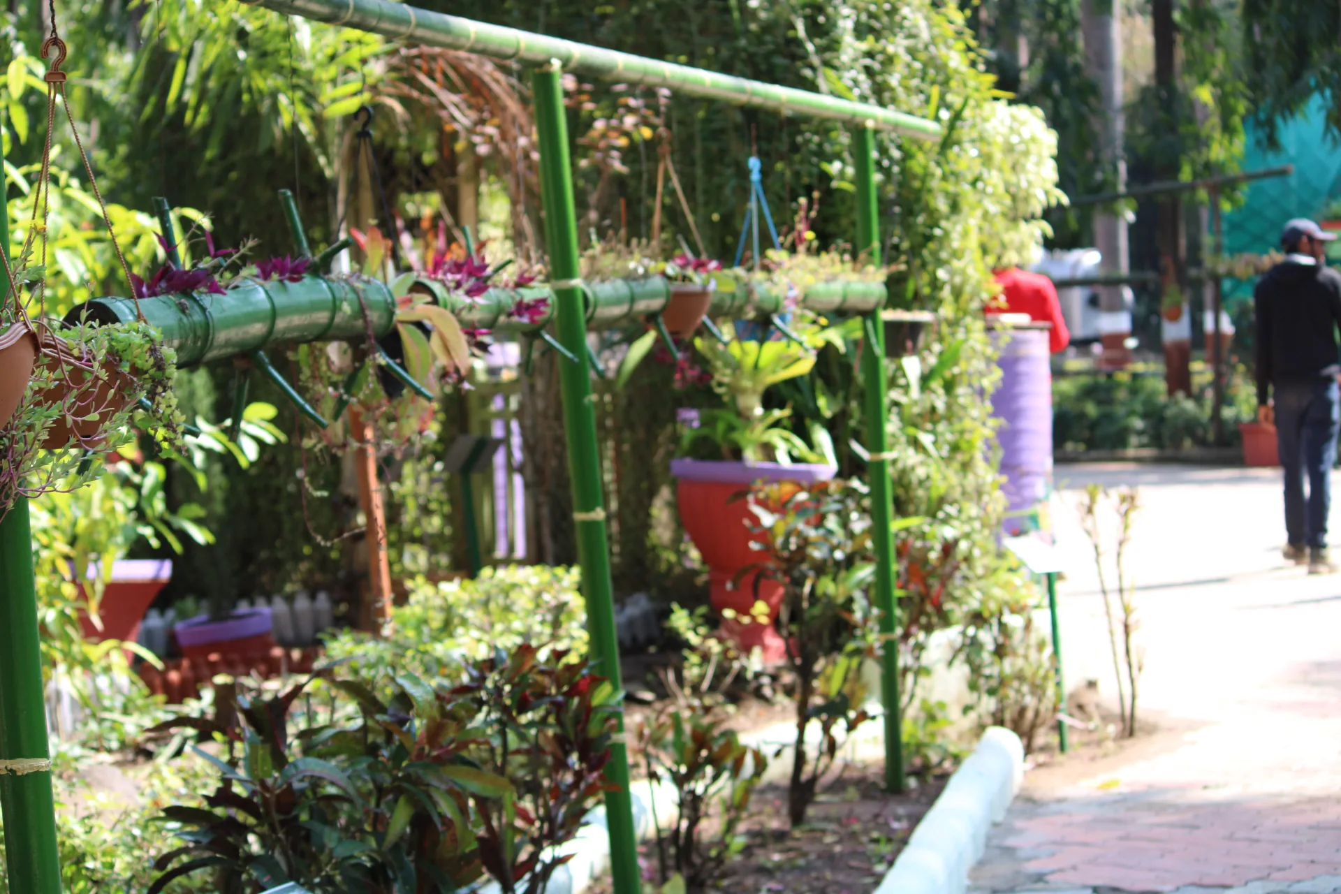 Step Garden