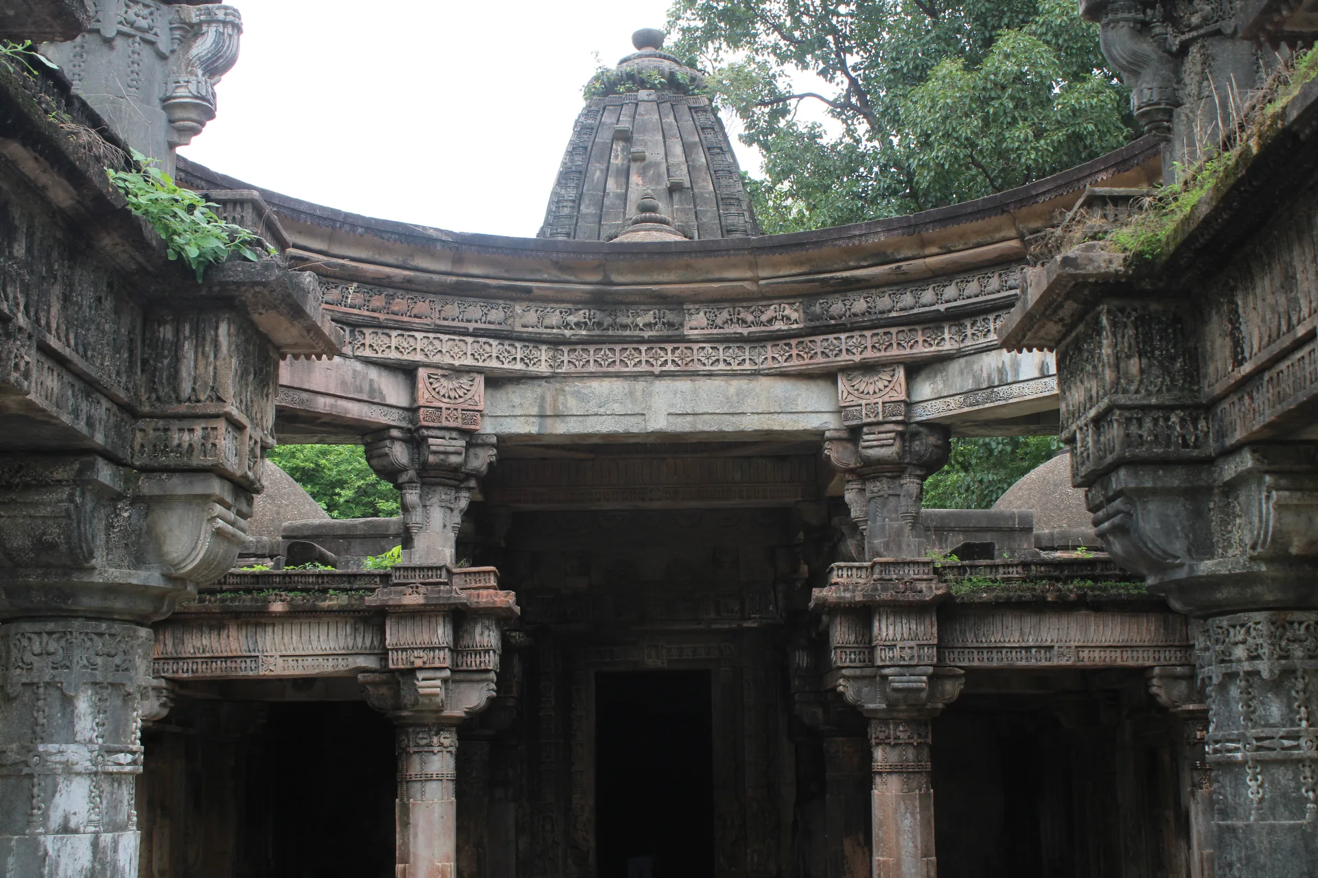 Ancient Temples of Polo Forest
