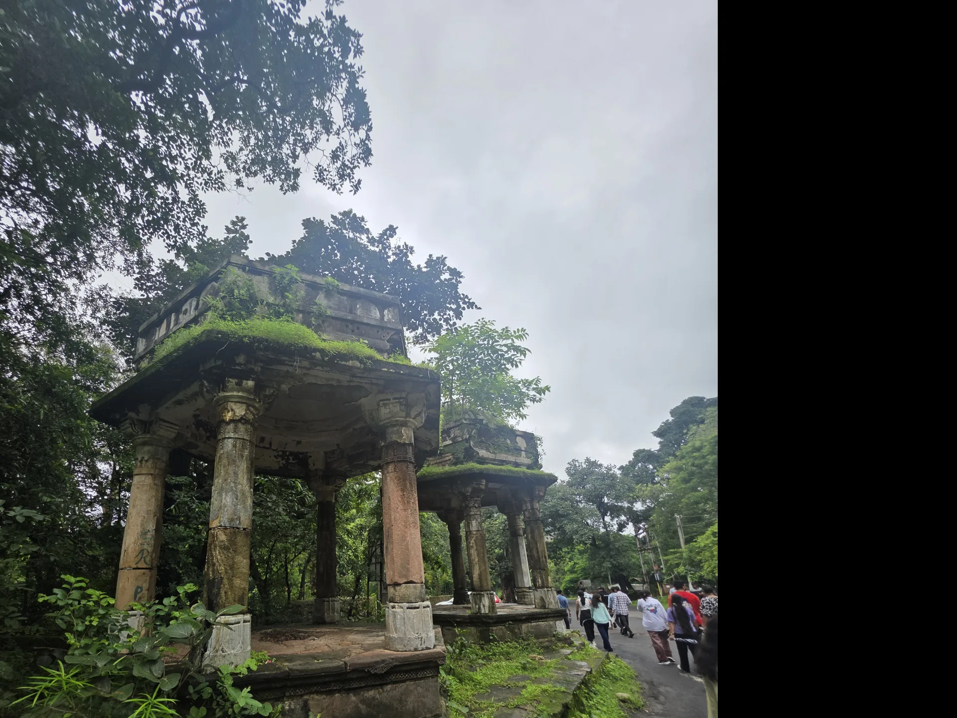 Polo Forest One Day Trip gallery