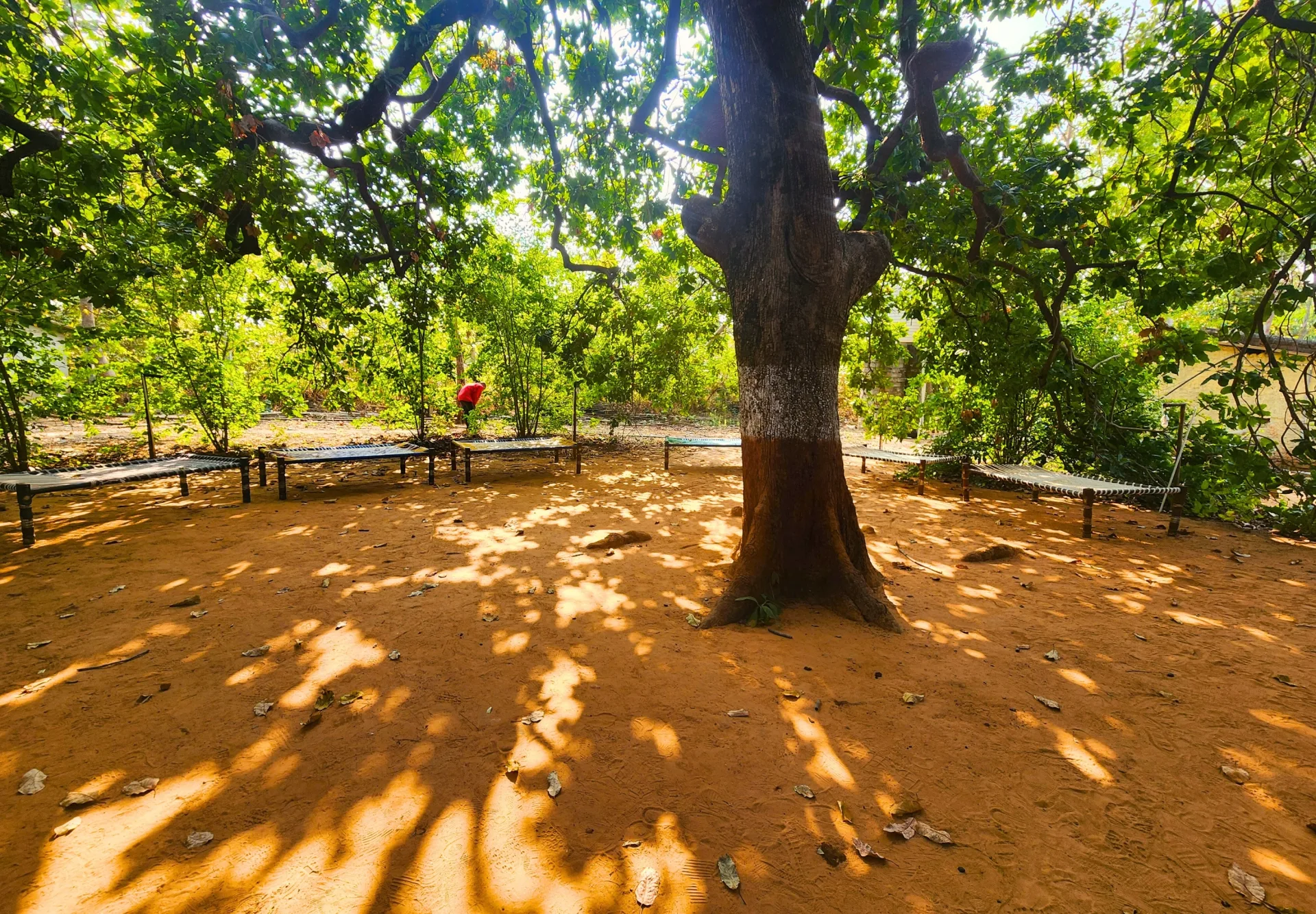 Bakor One Day Trip gallery