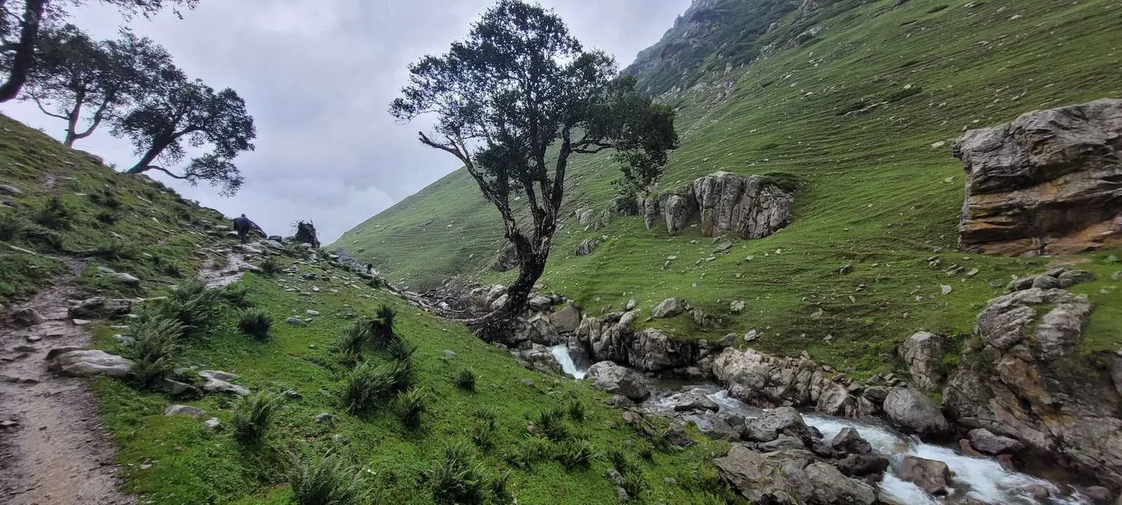 Aru Valley