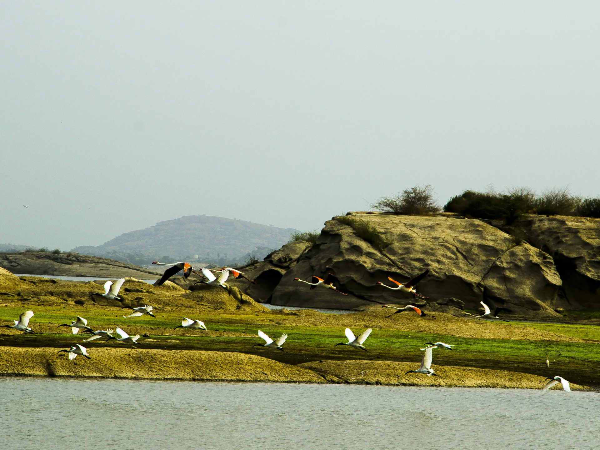 Jawai Leopard Safari Tour image 4