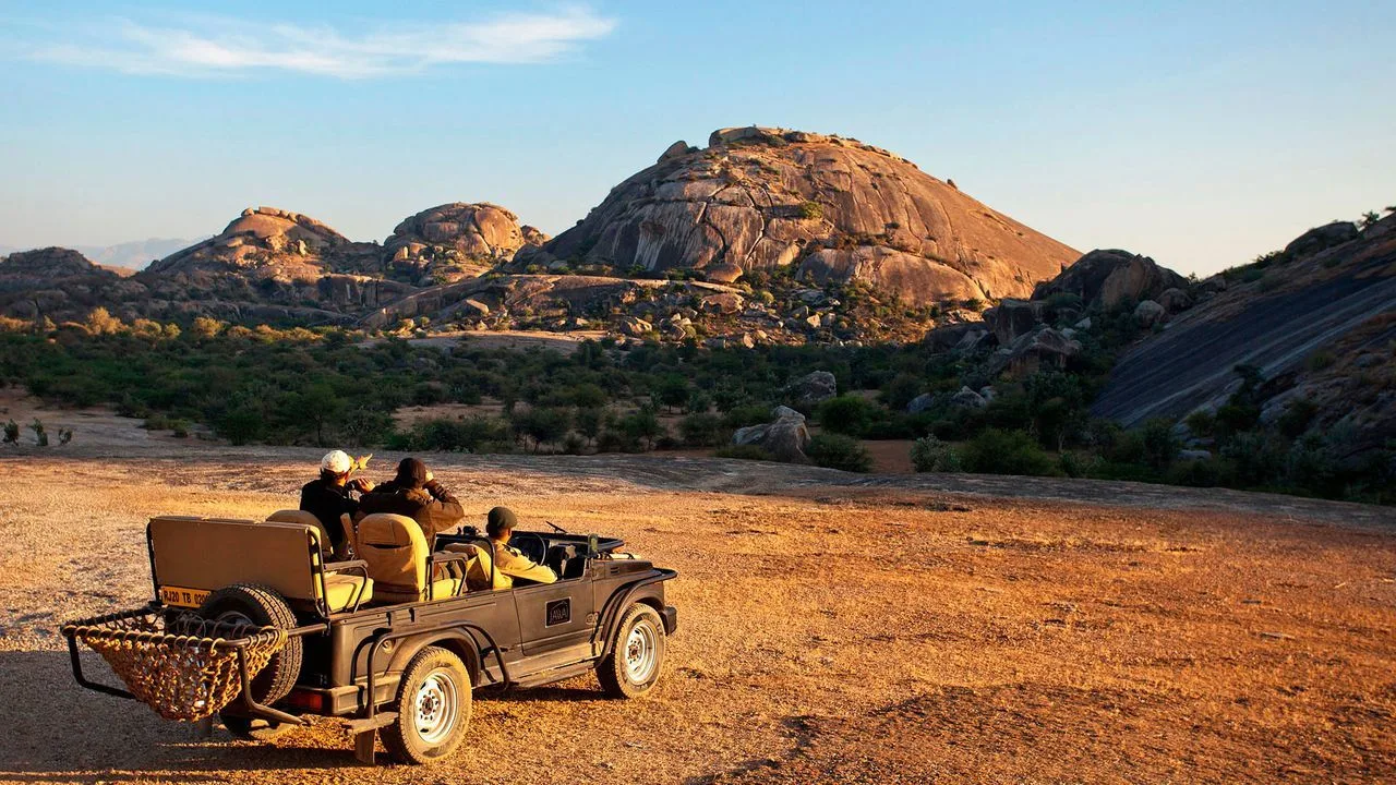 Jawai Leopard Safari Tour image 3