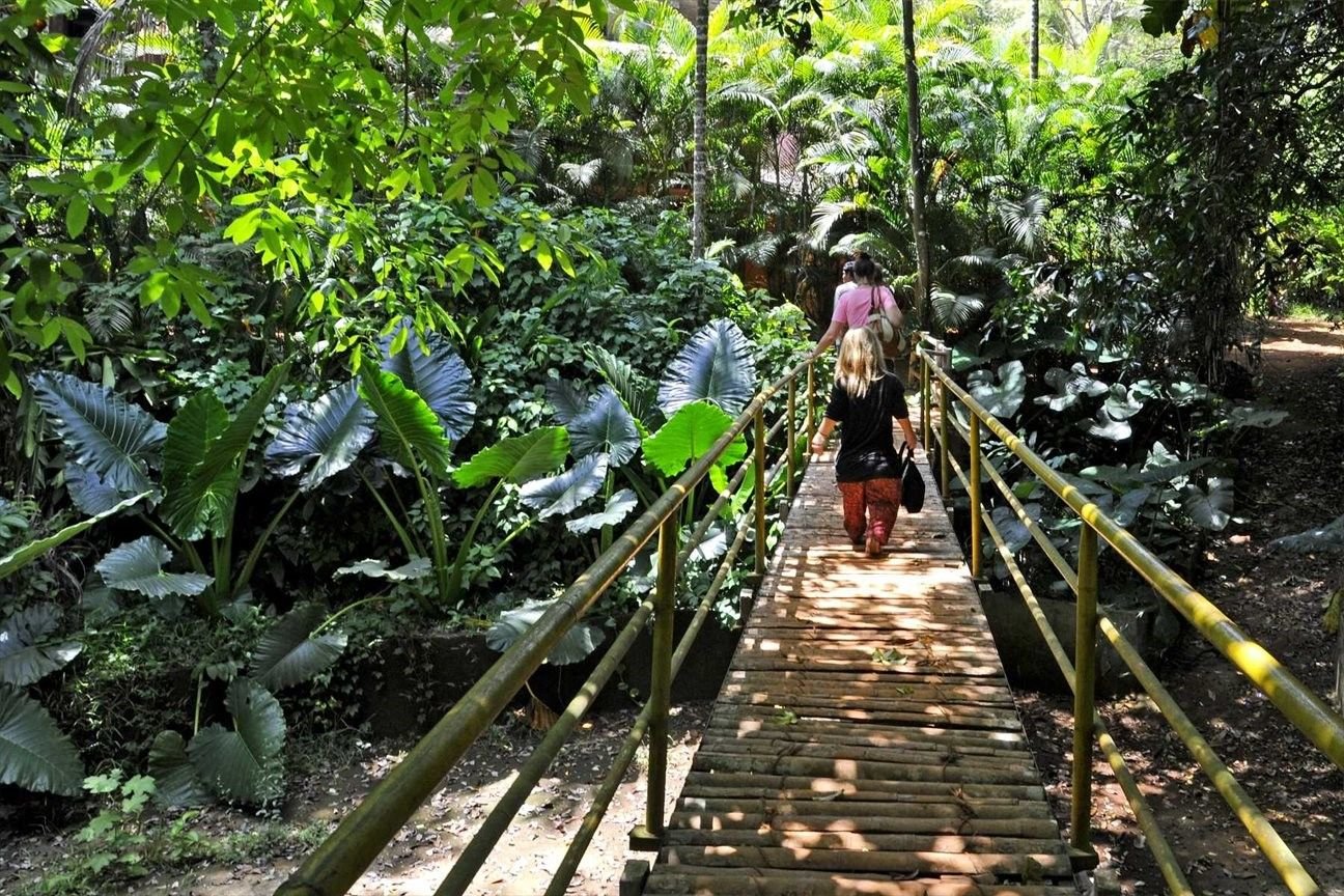 Kerala Spice Plantation Experience