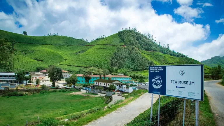 Tata Tea Museum